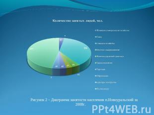 Рисунок 2 – Диаграмма занятости населения п.Новоуральский за 2008г.