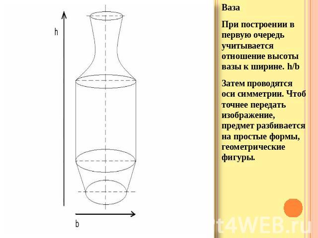 ВазаПри построении в первую очередь учитывается отношение высоты вазы к ширине. h/bЗатем проводятся оси симметрии. Чтоб точнее передать изображение, предмет разбивается на простые формы, геометрические фигуры.