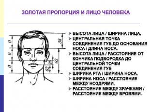 Золотая пропорция и лицо человека Высота лица / ширина лица, Центральная точка с