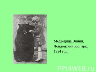 Медведица Винни,Лондонский зоопарк.1924 год