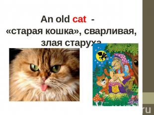 Аn old cat&nbsp; -&nbsp;&nbsp; «старая кошка», сварливая, злая старуха