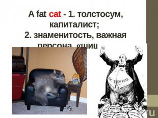 A fat cat - 1. толстосум, капиталист; 2. знаменитость, важная персона, «шишка»