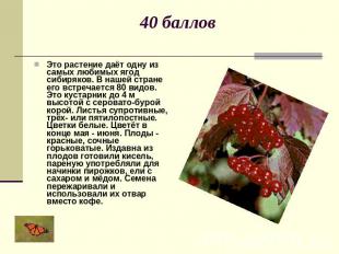 40 баллов Это растение даёт одну из самых любимых ягод сибиряков. В нашей стране