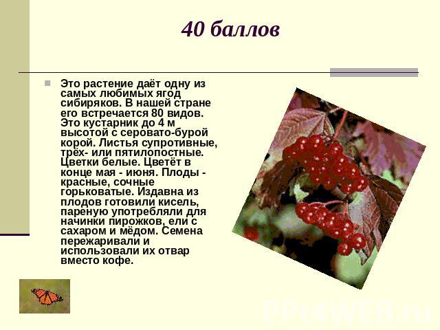 40 баллов Это растение даёт одну из самых любимых ягод сибиряков. В нашей стране его встречается 80 видов. Это кустарник до 4 м высотой с серовато-бурой корой. Листья супротивные, трёх- или пятилопостные. Цветки белые. Цветёт в конце мая - июня. Пло…
