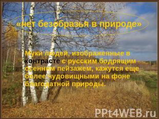 «нет безобразья в природе» Муки людей, изображенные в контрасте с русским бодрящ