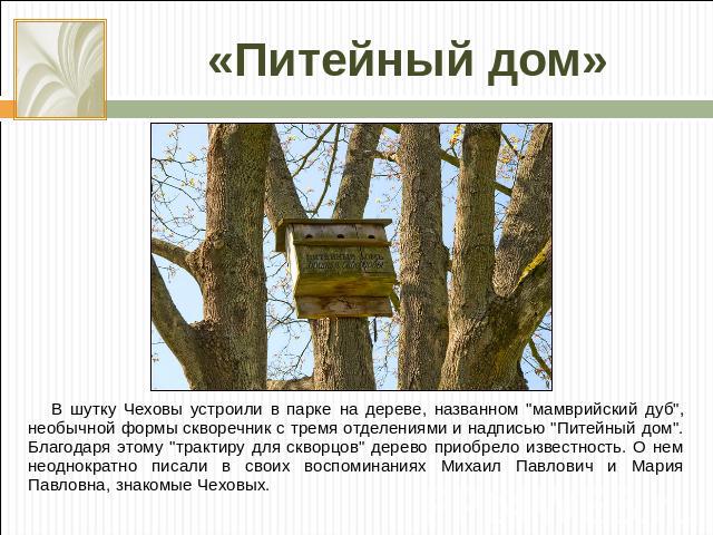 «Питейный дом» В шутку Чеховы устроили в парке на дереве, названном 