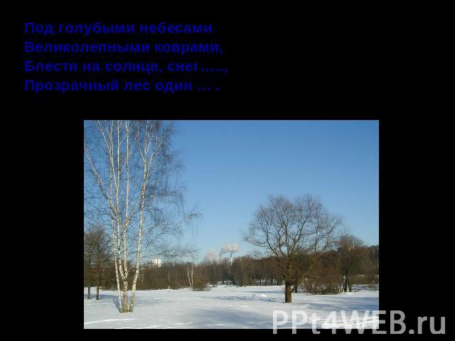 Под голубыми небесамиВеликолепными коврами,Блестя на солнце, снег…..,Прозрачный лес один … .