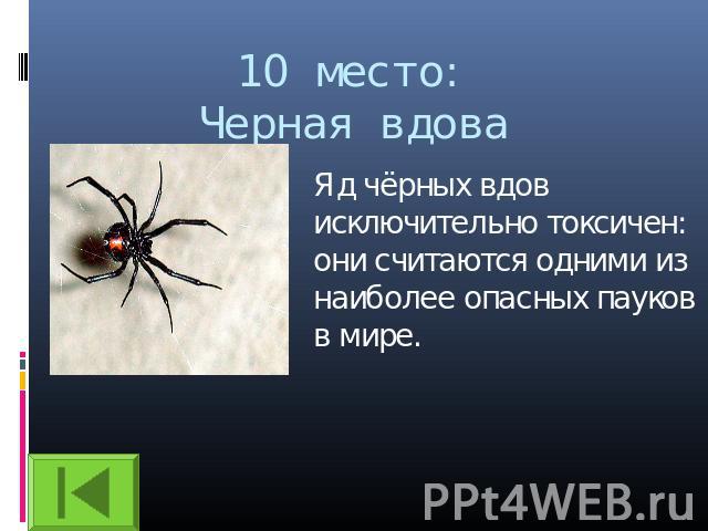 10 место:Черная вдова Яд чёрных вдов исключительно токсичен: они считаются одними из наиболее опасных пауков в мире.