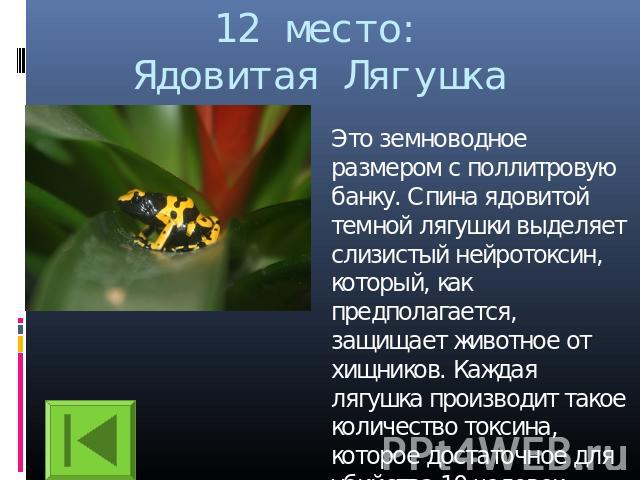 12 место:Ядовитая Лягушка Это земноводное размером с поллитровую банку. Спина ядовитой темной лягушки выделяет слизистый нейротоксин, который, как предполагается, защищает животное от хищников. Каждая лягушка производит такое количество токсина, кот…