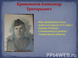 Кривоногов Александр Григорьевич Мой прадедушка Саша родился 8 апреля 1911 года