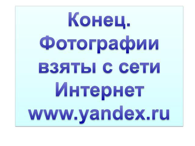 Конец.Фотографии взяты с сети Интернетwww.yandex.ru