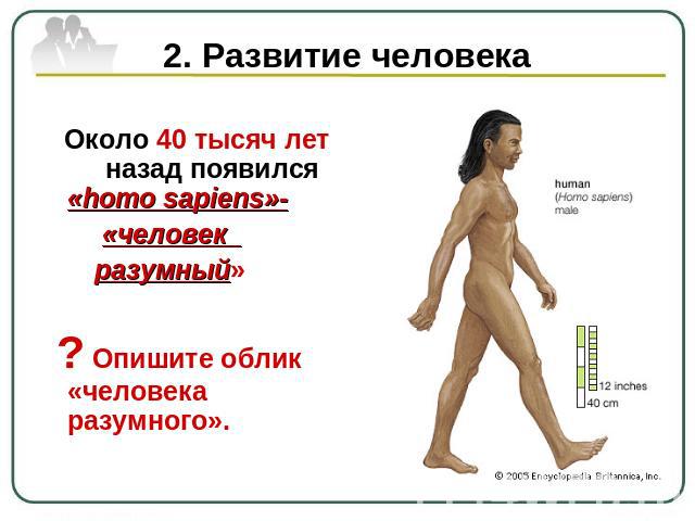 2. Развитие человека Около 40 тысяч лет назад появился «homo sapiens»- «человек разумный» ? Опишите облик «человека разумного».