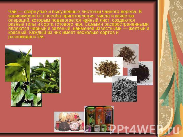 Чай — свернутые и высушенные листочки чайного дерева. В зависимости от способа приготовления, числа и качества операций, которым подвергается чайный лист, создаются разные типы и сорта готового чая. Самыми распространенными являются черный и зеленый…