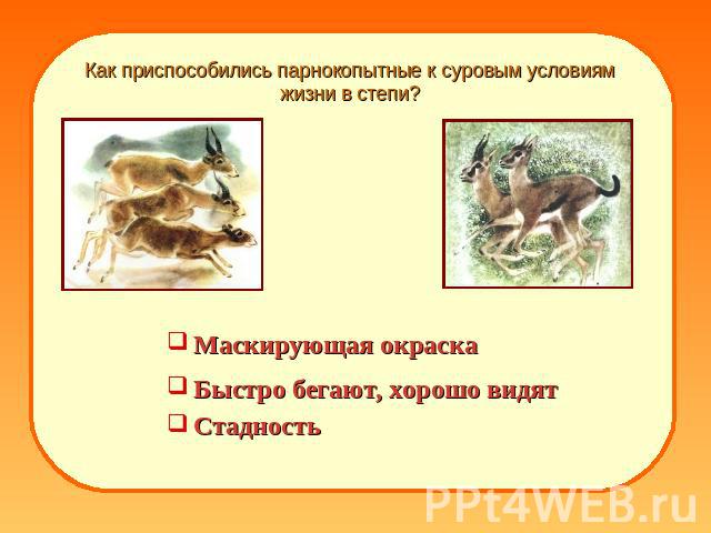 Как приспособились парнокопытные к суровым условиям жизни в степи? Маскирующая окраскаБыстро бегают, хорошо видятСтадность