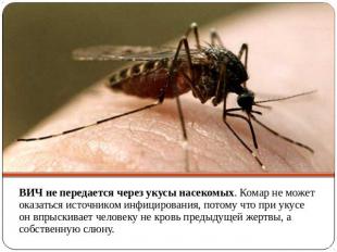 ВИЧ не передается через укусы насекомых. Комар не может оказаться источником инф