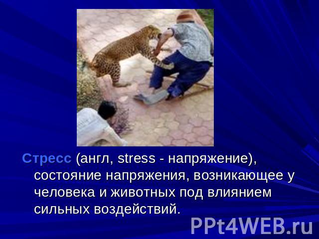 Стресс (англ, stress - напряжение), состояние напряжения, возникающее у человека и животных под влиянием сильных воздействий.