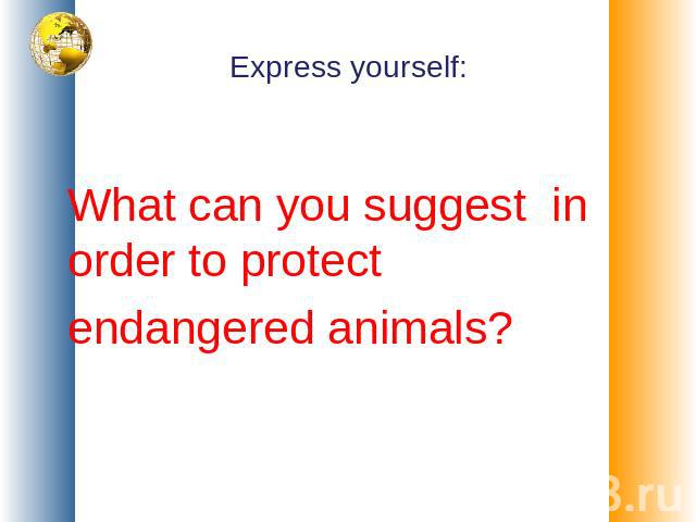 Express yourself: What can you suggest in order to protect endangered animals?