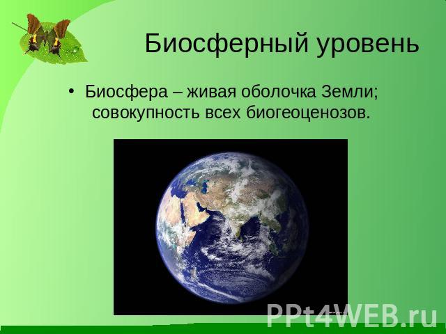 Биосферный уровень Биосфера – живая оболочка Земли; совокупность всех биогеоценозов.