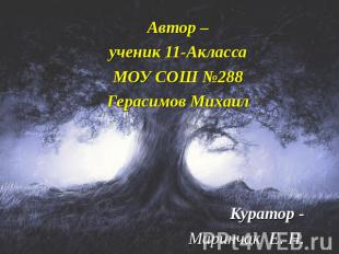 Автор –ученик 11-АклассаМОУ СОШ №288Герасимов МихаилКуратор -Маринчак Е. Н.