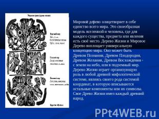 Мировое дерево олицетворяет в себе единство всего мира. Это своеобразная модель