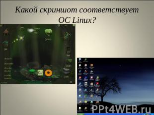 Какой скриншот соответствует ОС Linux?