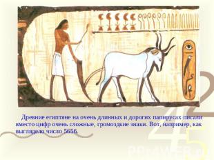 Древние египтяне на очень длинных и дорогих папирусах писали вместо цифр очень с