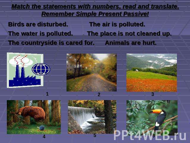Match the statements with numbers, read and translate. Remember Simple Present Passive! Birds are disturbed. The air is polluted.The water is polluted. The place is not cleaned up.The countryside is cared for. Animals are hurt.