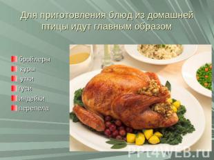 Для приготовления блюд из домашней птицы идут главным образом бройлеры куры утки