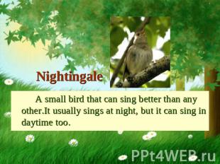 Nightingale A small bird that can sing better than any other.It usually sings at