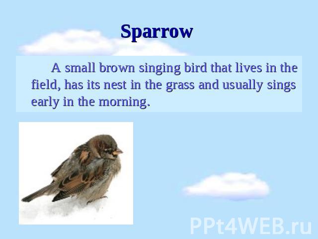 Sparrow A small brown singing bird that lives in the field, has its nest in the grass and usually sings early in the morning.
