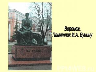 Воронеж.Памятник И.А. Бунину