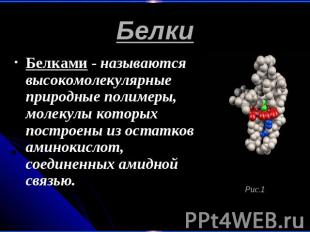 Белки Белками - называются высокомолекулярные природные полимеры, молекулы котор