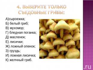 4. Выберите только съедобные грибы: А)сыроежка;Б) белый гриб;В) мухомор;Г) бледн