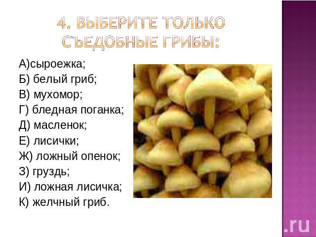 4. Выберите только съедобные грибы: А)сыроежка;Б) белый гриб;В) мухомор;Г) бледная поганка;Д) масленок;Е) лисички;Ж) ложный опенок;З) груздь;И) ложная лисичка;К) желчный гриб.