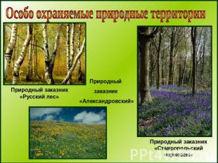 Особо охраняемые природные территорииПриродный заказник «Русский лес»Природный з