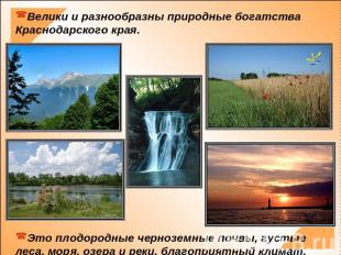 Велики и разнообразны природные богатства Краснодарского края. Это плодородные ч
