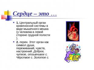 Сердце – это … 1. Центральный орган кровеносной системы в виде мышечного мешка (