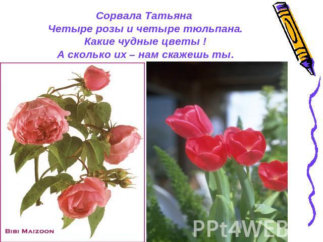 Сорвала Татьяна Четыре розы и четыре тюльпана.Какие чудные цветы !А сколько их – нам скажешь ты.