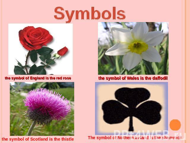 Symbolsthe symbol of England is the red rosethe symbol of Wales is the daffodilthe symbol of Scotland is the thistleThe symbol of Nothern Ireland is the shamrock