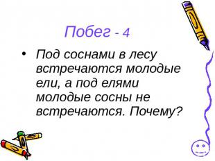 Побег - 4Под соснами в лесу встречаются молодые ели, а под елями молодые сосны н