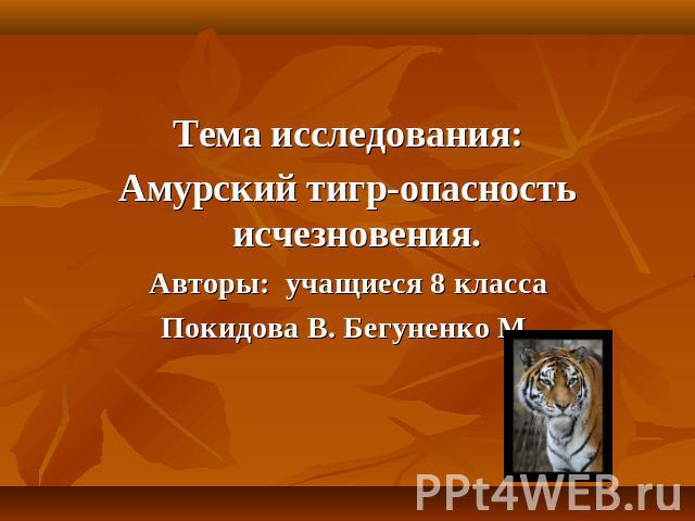 Тема исследования:Амурский тигр-опасность исчезновения. Авторы: учащиеся 8 классаПокидова В. Бегуненко М.