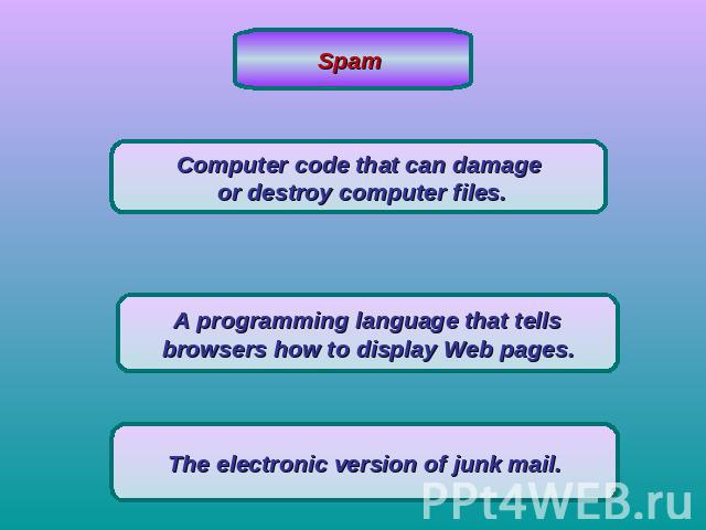 Spam Computer code that can damage or destroy computer files.A programming language that tellsbrowsers how to display Web pages.The electronic version of junk mail.