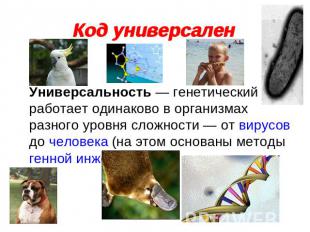 Код универсален Универсальность — генетический код работает одинаково в организм