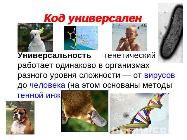Код универсален Универсальность — генетический код работает одинаково в организмах разного уровня сложности — от вирусов до человека (на этом основаны методы генной инженерии)