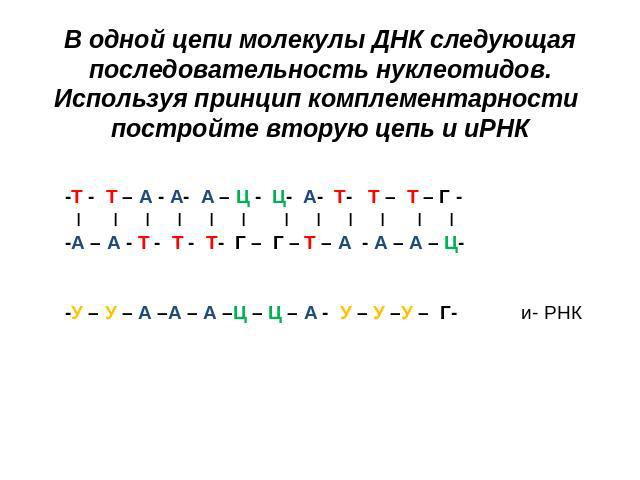 В одной цепи молекулы ДНК следующая последовательность нуклеотидов. Используя принцип комплементарности постройте вторую цепь и иРНК -Т - Т – А - А- А – Ц - Ц- А- Т- Т – Т – Г - I I I I I I I I I I I I -А – А - Т - Т - Т- Г – Г – Т – А - А – А – Ц- …