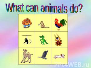What can animals do?