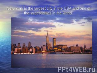 New-York is the largest city in the USA and one of the largest cities in the wor