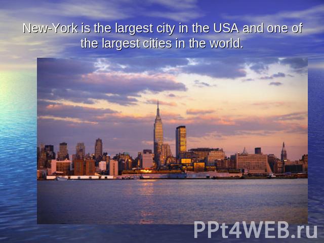 New-York is the largest city in the USA and one of the largest cities in the world.