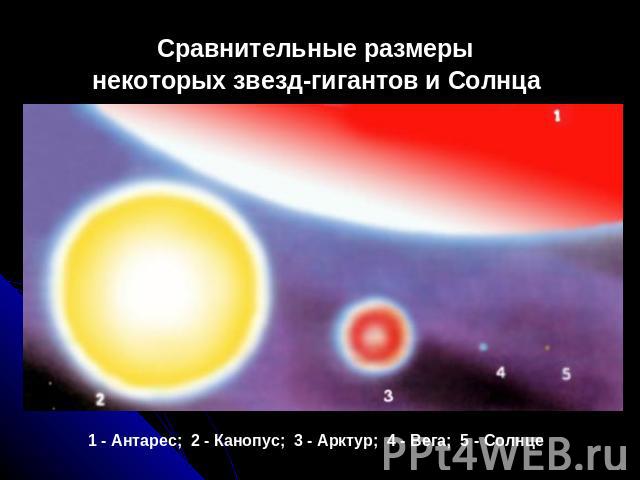 Сравнительные размеры некоторых звезд-гигантов и Солнца  1 - Антарес;  2 - Канопус;  3 - Арктур;  4 - Вега;  5 - Солнце
