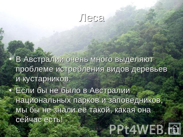 Леса В Австралии очень много выделяют проблеме истребления видов деревьев и кустарников. Если бы не было в Австралии национальных парков и заповедников, мы бы не знали её такой, какая она сейчас есть!